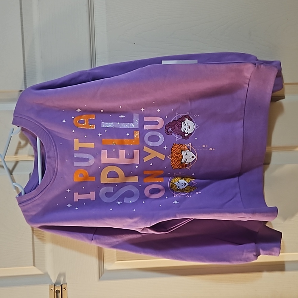 HOCUS POCUS I PUT A SPELL ON YOU SWEATSHIRT: PURPLE: NEW WITH TAGS: L (10/12)